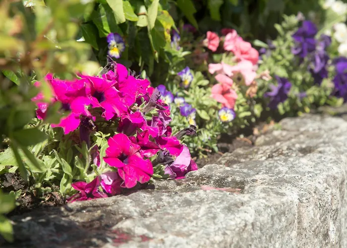 Tatil Evi Casa Minu *